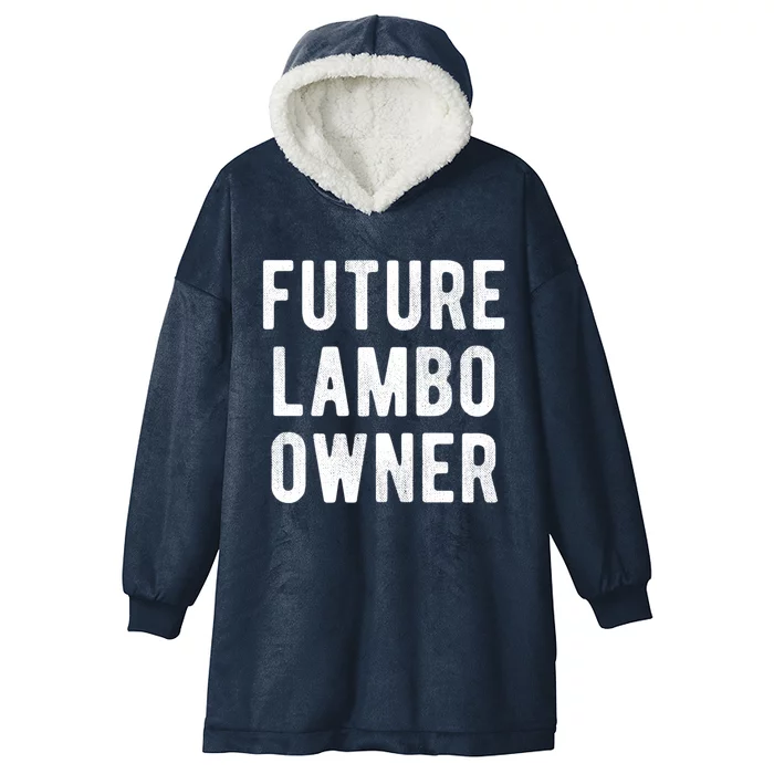 Cryptocurrency Gift Future Lambo Owner Funny Bitcoin Meaningful Gift Hooded Wearable Blanket