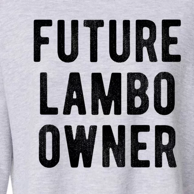 Cryptocurrency Gift Future Lambo Owner Funny Bitcoin Meaningful Gift Cropped Pullover Crew