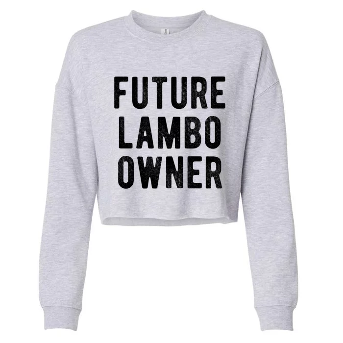 Cryptocurrency Gift Future Lambo Owner Funny Bitcoin Meaningful Gift Cropped Pullover Crew