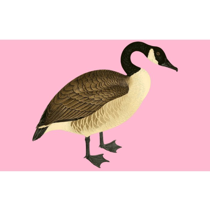 Canada Goose Gift Canadian Goose I Love Canada Bumper Sticker