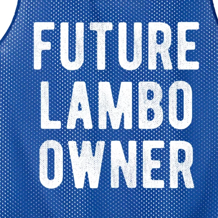 Cryptocurrency Great Gift Future Lambo Owner Funny Bitcoin Gift Mesh Reversible Basketball Jersey Tank