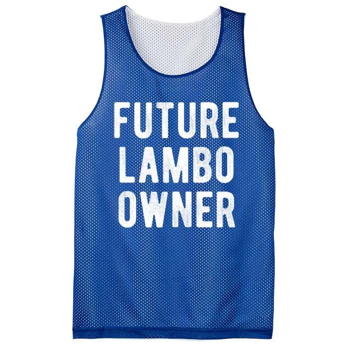 Cryptocurrency Great Gift Future Lambo Owner Funny Bitcoin Gift Mesh Reversible Basketball Jersey Tank