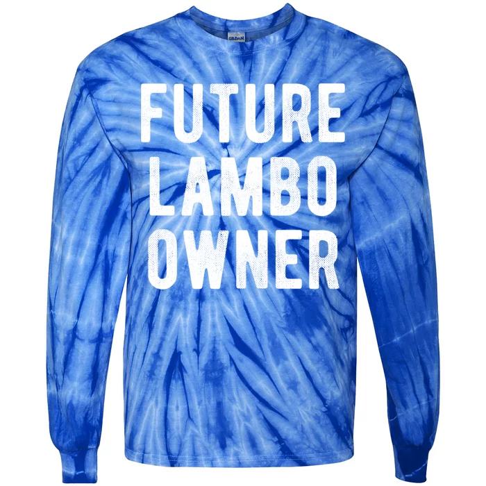 Cryptocurrency Great Gift Future Lambo Owner Funny Bitcoin Gift Tie-Dye Long Sleeve Shirt