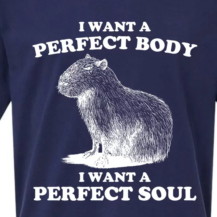 Capybara Gifts I Want A Perfect Body I Want A Perfect Soul Sueded Cloud Jersey T-Shirt