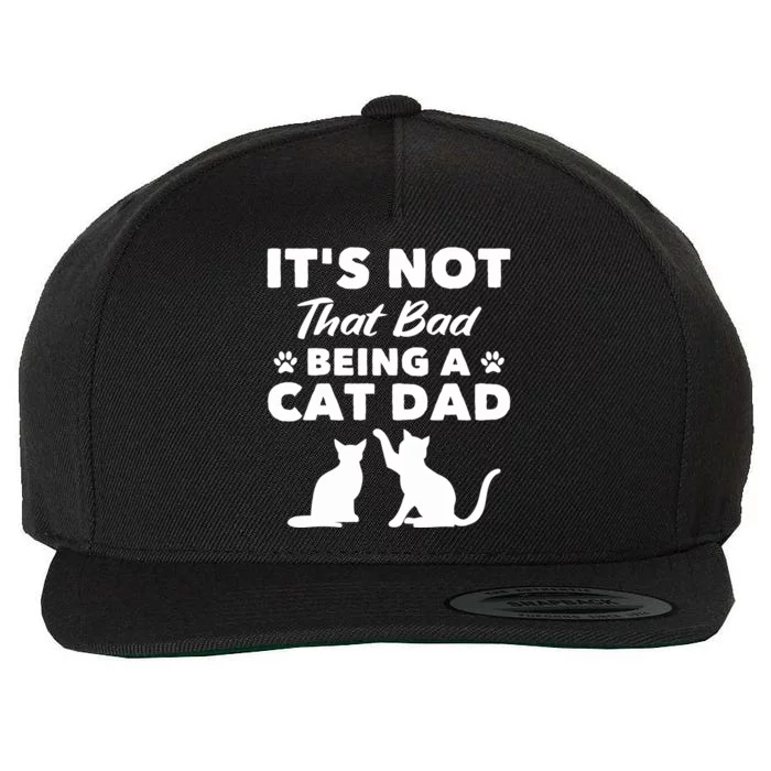 Cat Grandpa Its Not That Bad Being A Cat Dad Cat Daddy Gift Wool Snapback Cap