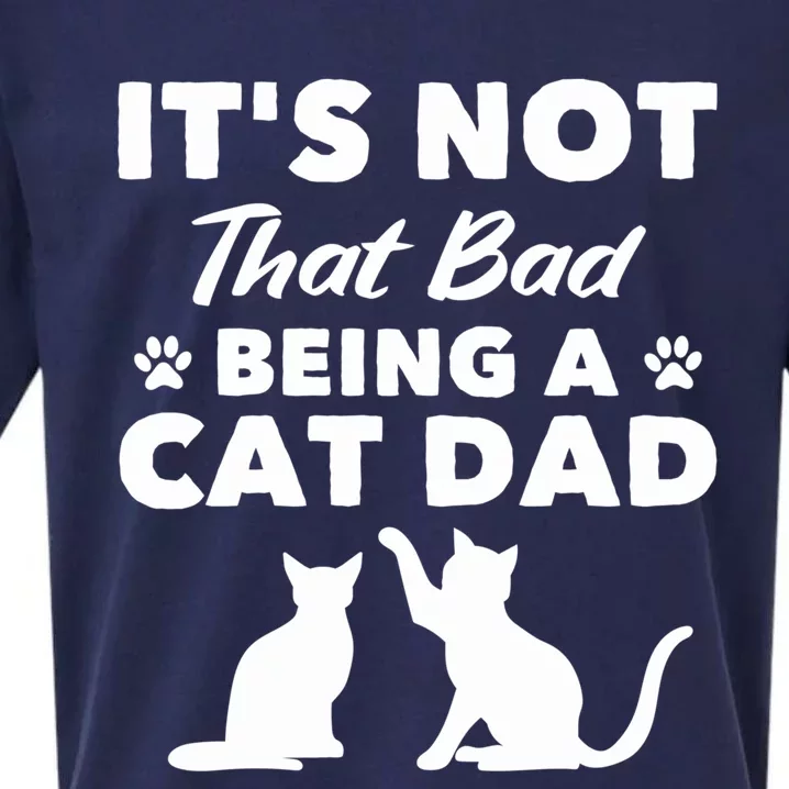 Cat Grandpa Its Not That Bad Being A Cat Dad Cat Daddy Gift Sueded Cloud Jersey T-Shirt