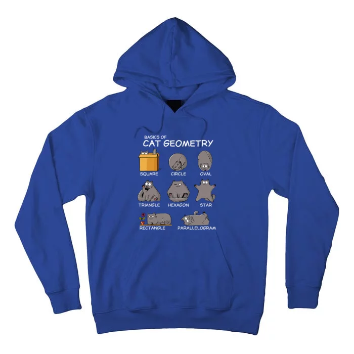 Cat Geometry Math Funny Cat Gifts For Cat Dad Cat Mom Tall Hoodie