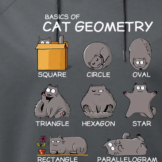 Cat Geometry Math Funny Cat Gifts For Cat Dad Cat Mom Performance Fleece Hoodie