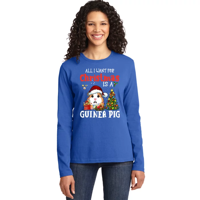 Cute Guinea Pig Christmas All I Want For Xmas Guinea Gift Ladies Long Sleeve Shirt