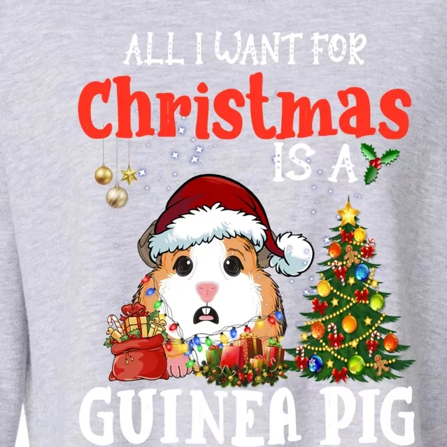 Cute Guinea Pig Christmas All I Want For Xmas Guinea Gift Cropped Pullover Crew