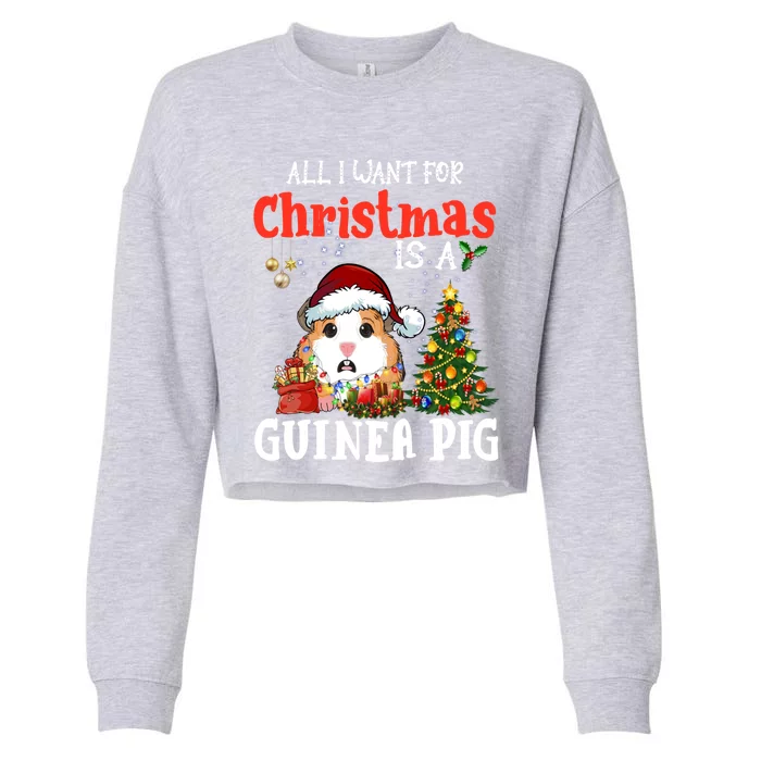 Cute Guinea Pig Christmas All I Want For Xmas Guinea Gift Cropped Pullover Crew