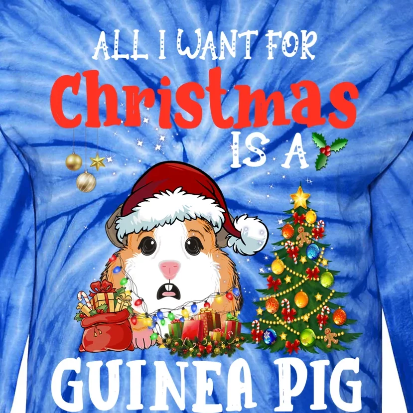 Cute Guinea Pig Christmas All I Want For Xmas Guinea Gift Tie-Dye Long Sleeve Shirt