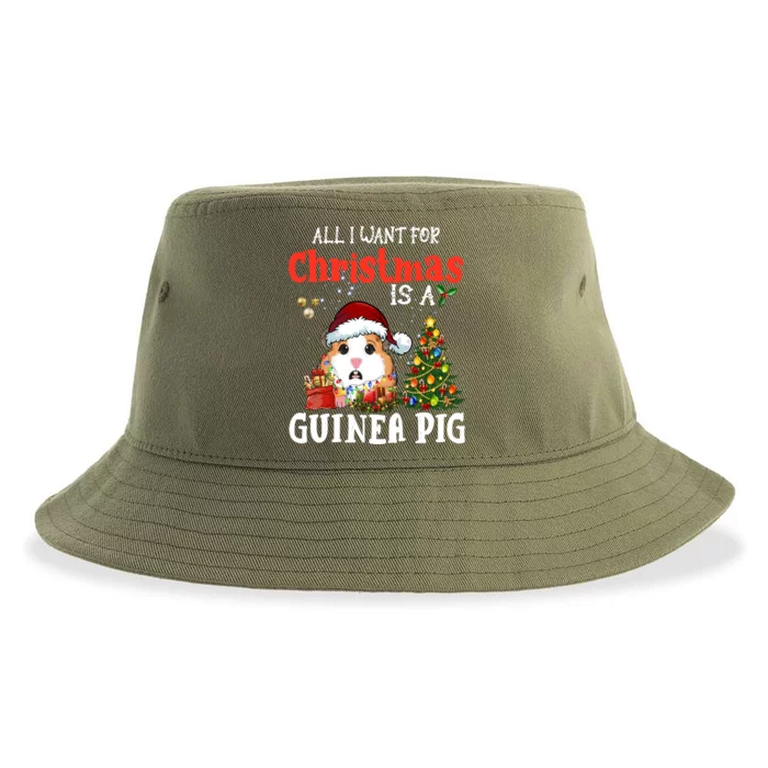 Cute Guinea Pig Christmas All I Want For Xmas Guinea Gift Sustainable Bucket Hat