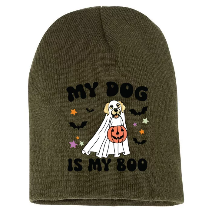 Cream Golden Retriever Is My Boo Dog Lover Halloween Costume Long Sleeve Short Acrylic Beanie