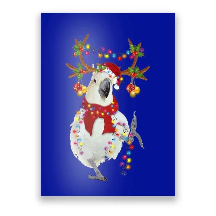 Cockatoo Gorgeous Reindeer Christmas Tree Light Xmas Cute Gift Poster