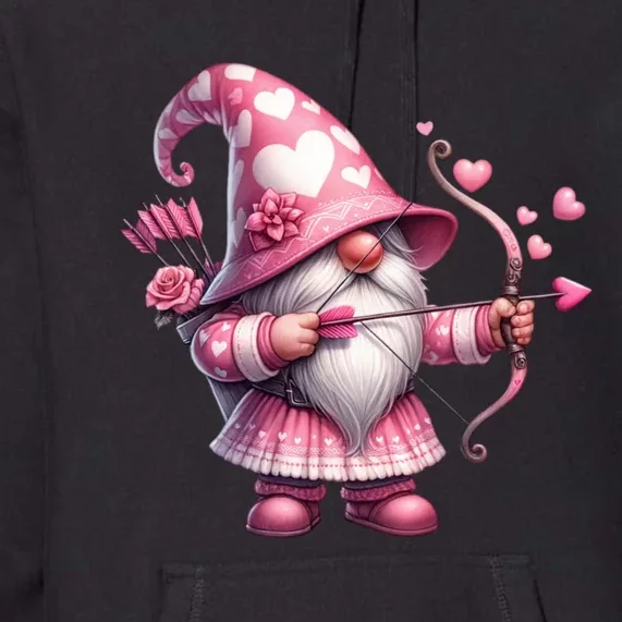 Cute Gnome Valentines Day Heart Gnome Valentine Premium Hoodie