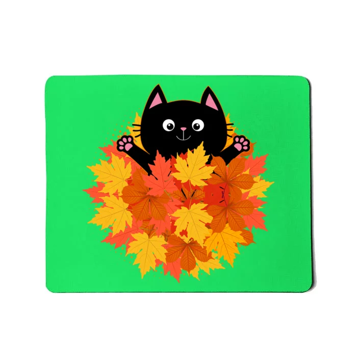 Cute Happy Black Cat Fall Autumn Leaves Mousepad