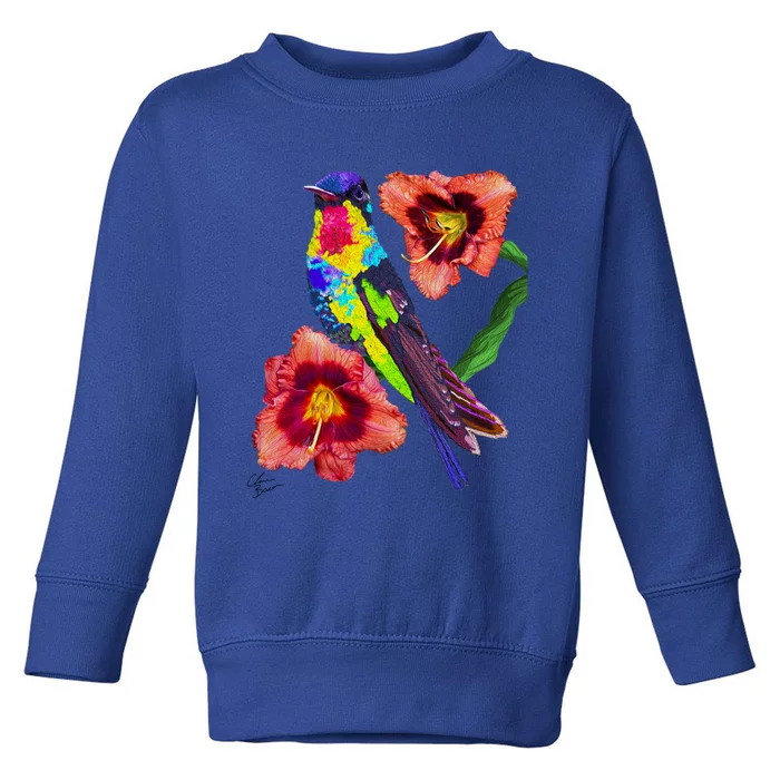 Colorful Hummingbird Bird Animal Birthday Mother’s Earth Day Gift Toddler Sweatshirt