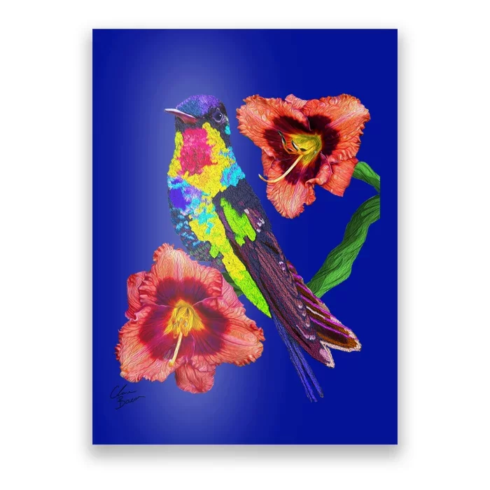 Colorful Hummingbird Bird Animal Birthday Mother’s Earth Day Gift Poster