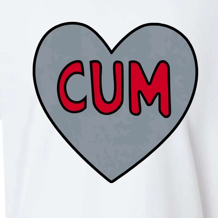 Cum Heart Christian University Michigan Sueded Cloud Jersey T-Shirt