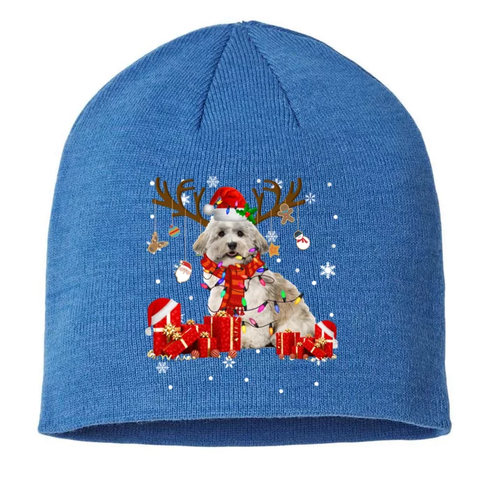 Christmas Havanese Dog Lover Reindeer Santa Havanese Funny Gift 8 1/2in Sustainable Knit Beanie