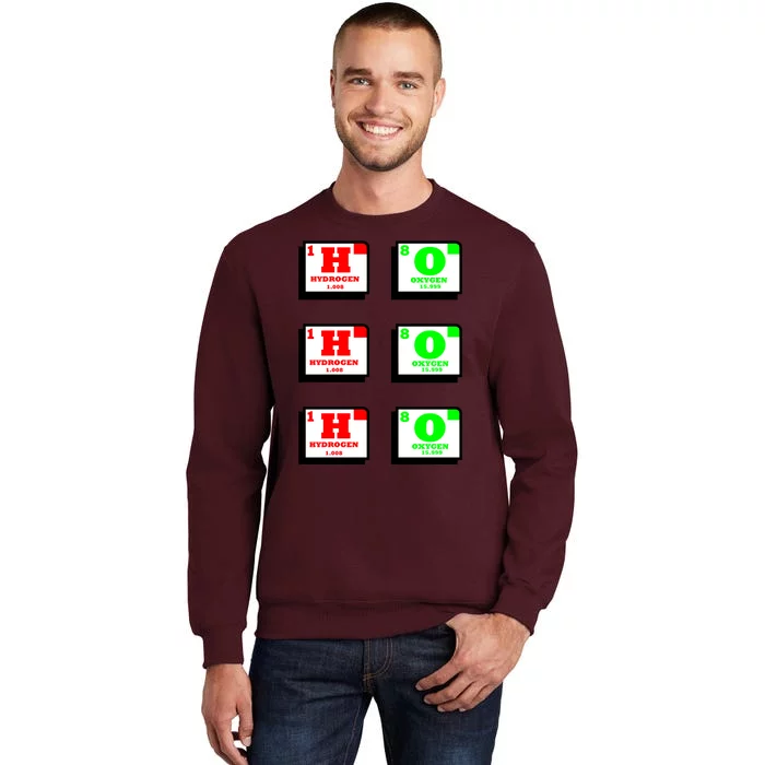 Christmas Ho Ho Ho Funny For Science Teacher Tall Sweatshirt