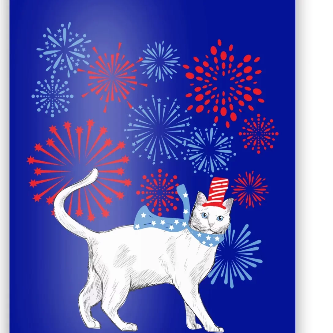 Cat Happy Independence Day Fireworks Memorial Day Gift Poster