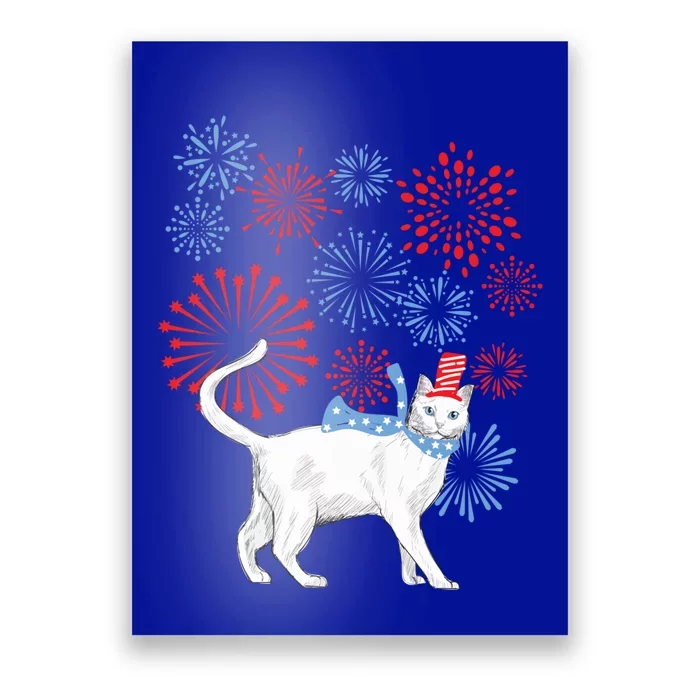 Cat Happy Independence Day Fireworks Memorial Day Gift Poster