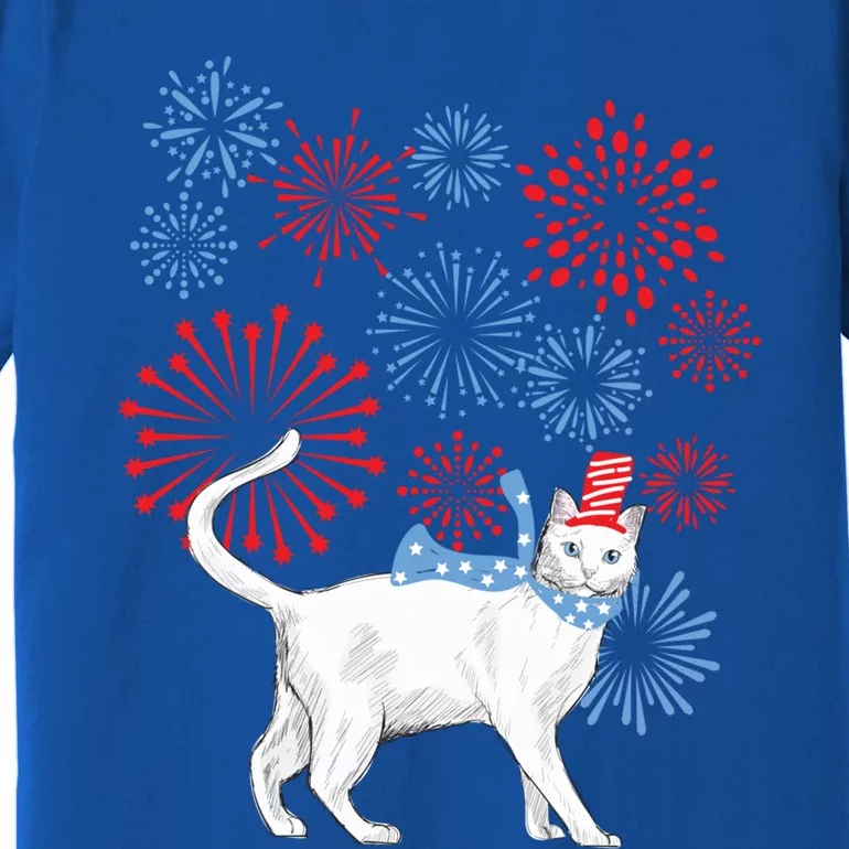 Cat Happy Independence Day Fireworks Memorial Day Gift Premium T-Shirt