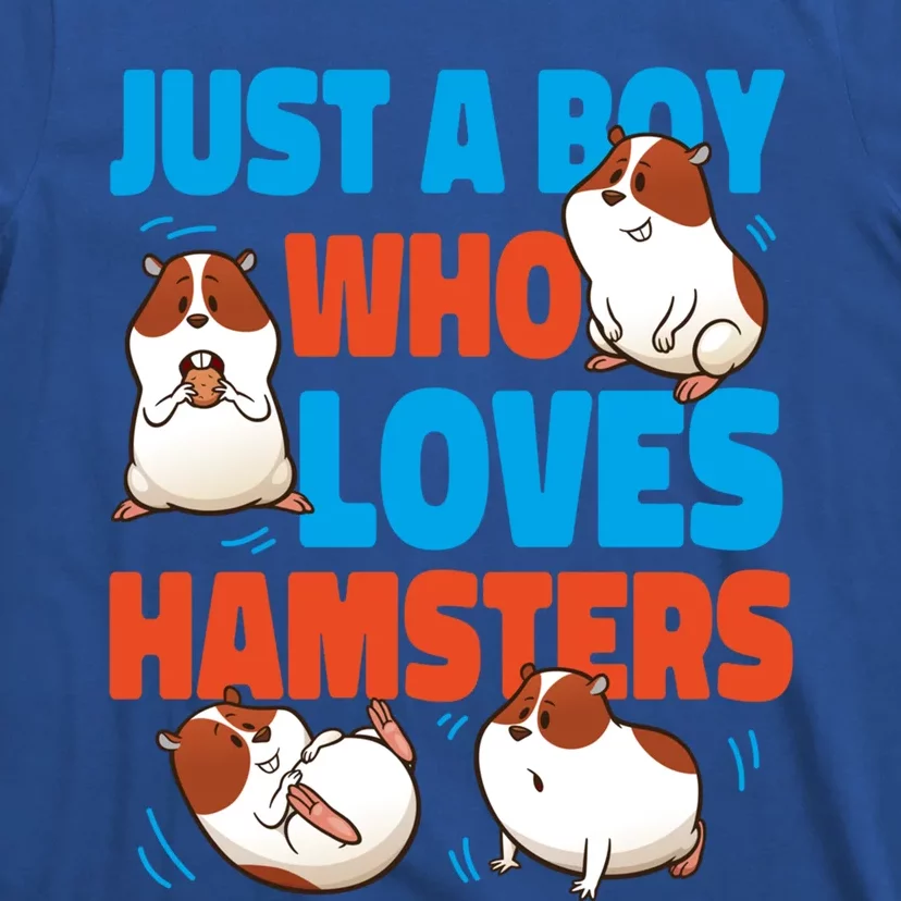 Cute Hamster Just A Boy Who Loves Hamsters Gift T-Shirt