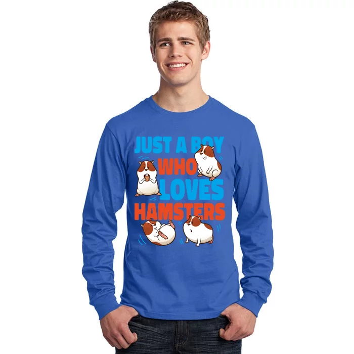 Cute Hamster Just A Boy Who Loves Hamsters Gift Tall Long Sleeve T-Shirt