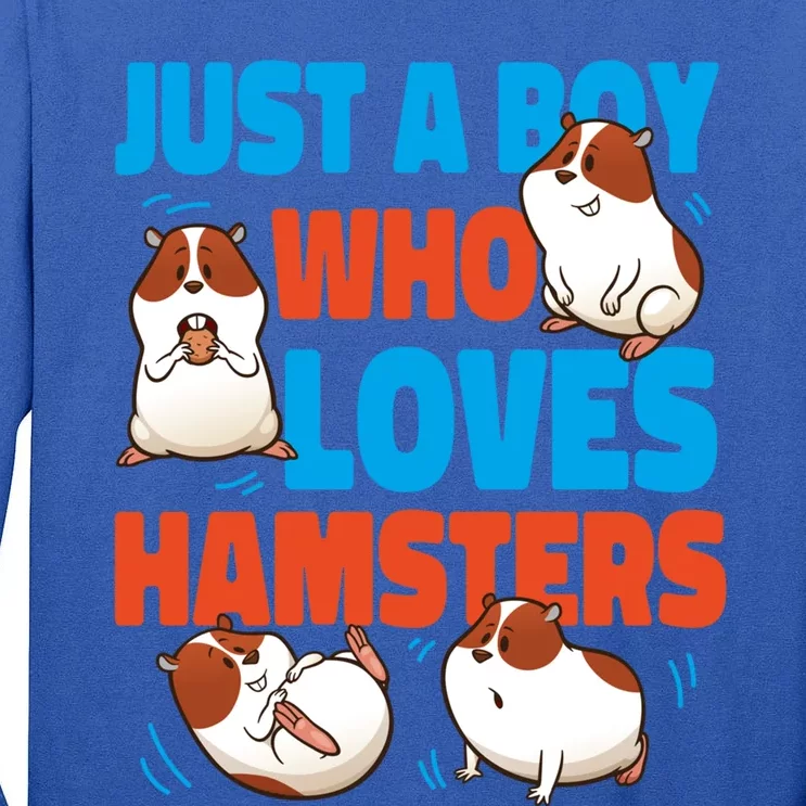 Cute Hamster Just A Boy Who Loves Hamsters Gift Tall Long Sleeve T-Shirt