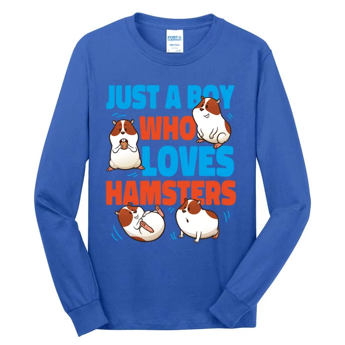 Cute Hamster Just A Boy Who Loves Hamsters Gift Tall Long Sleeve T-Shirt