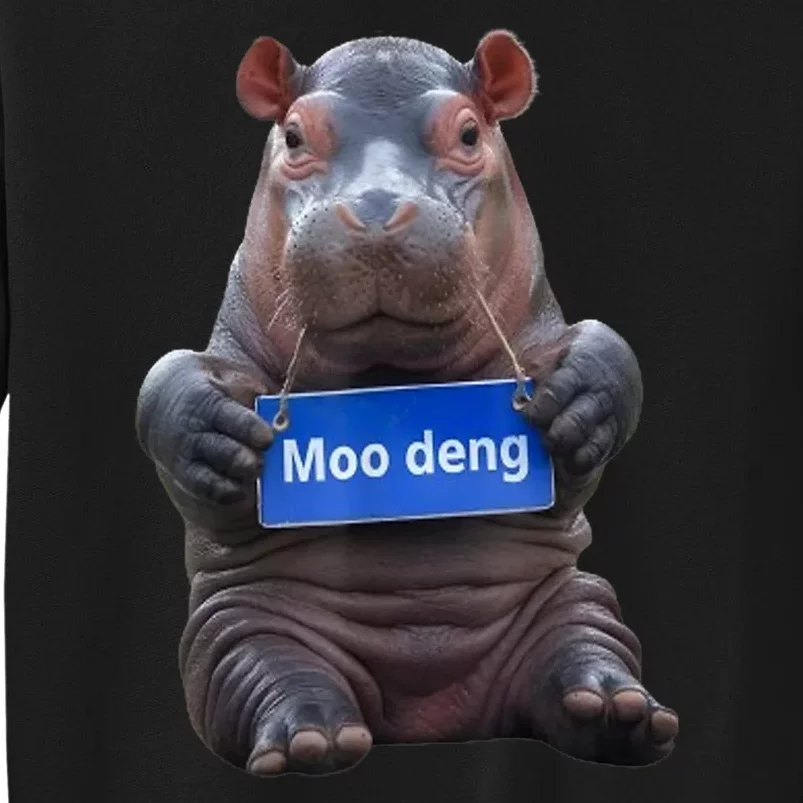 Cute Hippo Moo Deng Baby Pygmy Funny Gift Sweatshirt