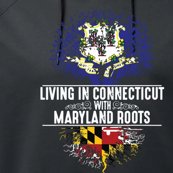 Connecticut Home Maryland Roots State Tree Flag Gift Performance Fleece Hoodie