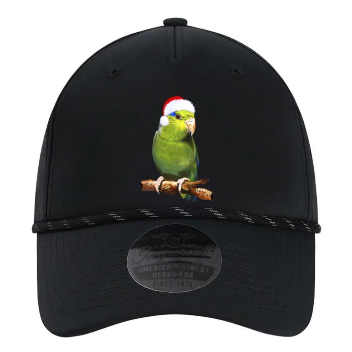 Christmas Bird Parrot Performance The Dyno Cap