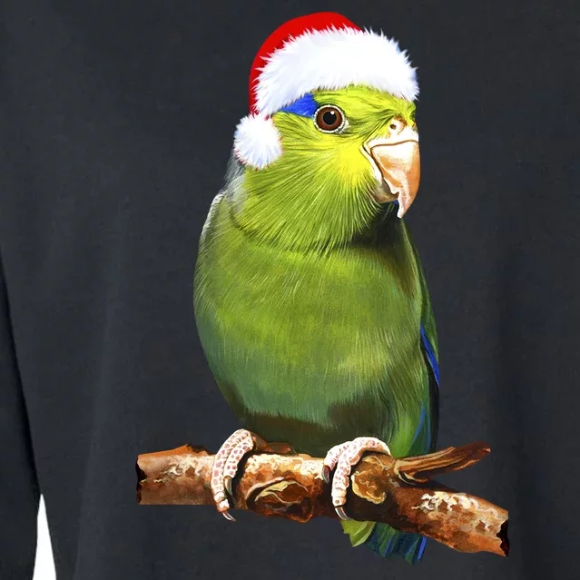 Christmas Bird Parrot Cropped Pullover Crew