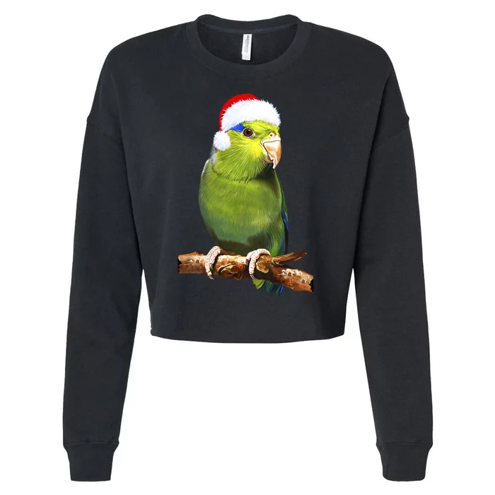 Christmas Bird Parrot Cropped Pullover Crew