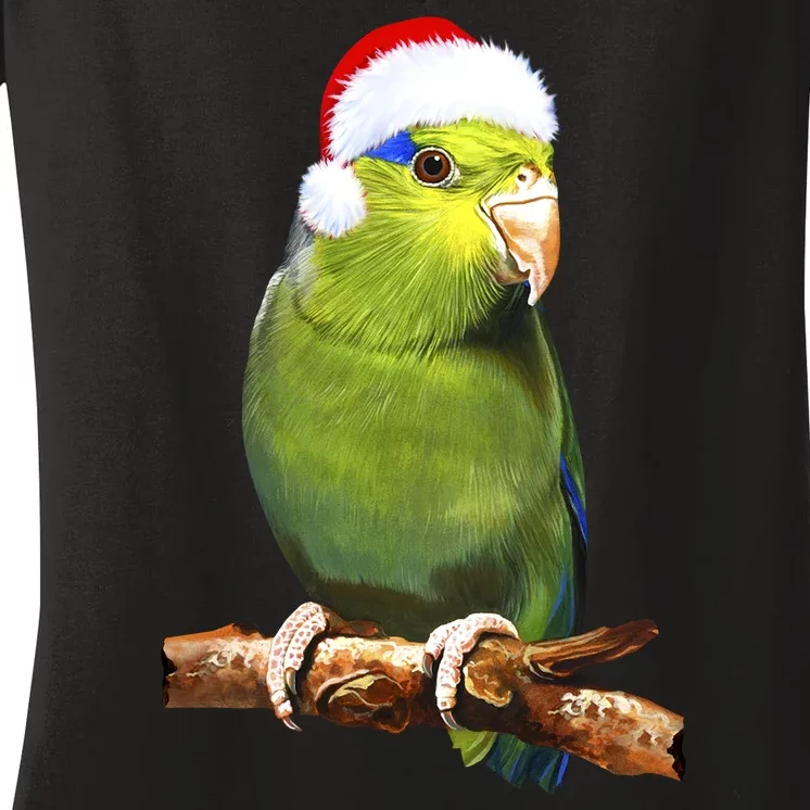 Christmas Bird Parrot Women's V-Neck T-Shirt