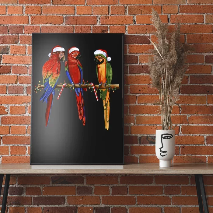 Christmas Parrots Poster