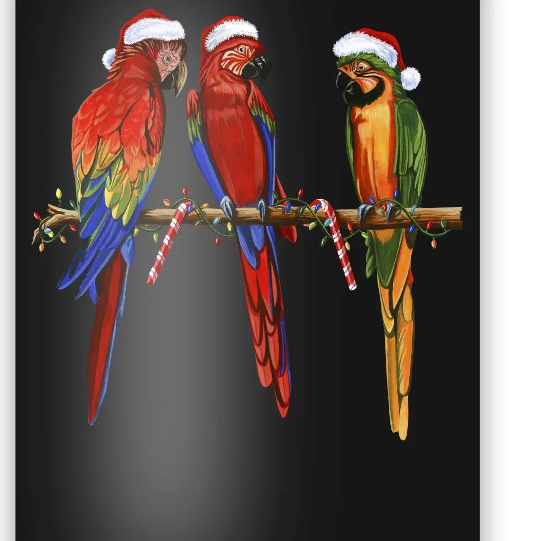 Christmas Parrots Poster