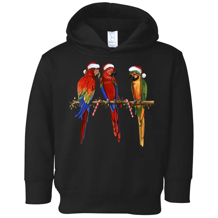 Christmas Parrots Toddler Hoodie