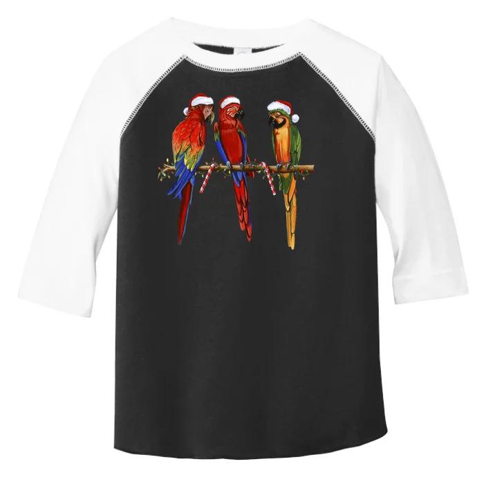 Christmas Parrots Toddler Fine Jersey T-Shirt