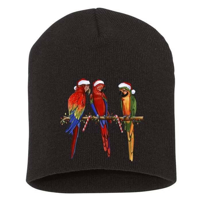 Christmas Parrots Short Acrylic Beanie