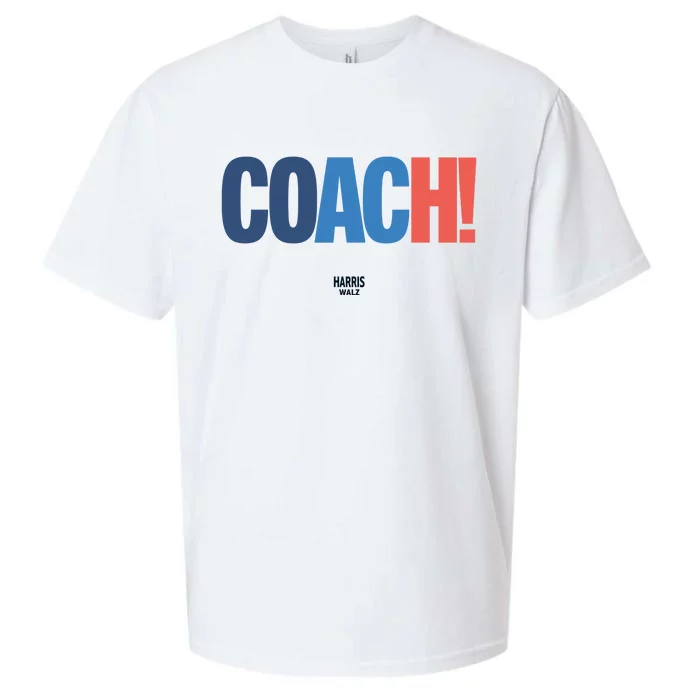 Coach Harris Walz Sueded Cloud Jersey T-Shirt