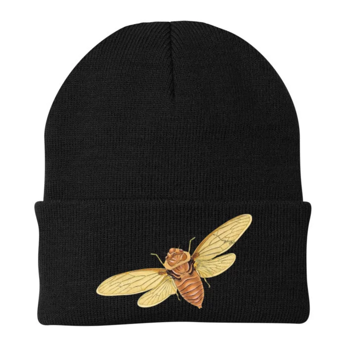 Cicada Insect 2024 Knit Cap Winter Beanie