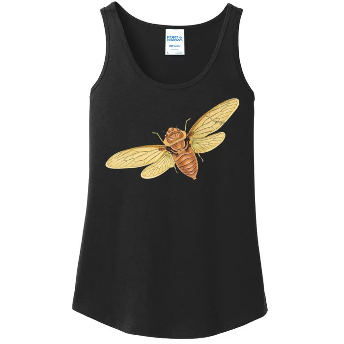 Cicada Insect 2024 Ladies Essential Tank