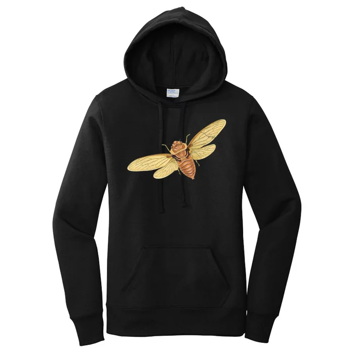 Cicada Insect 2024 Women's Pullover Hoodie