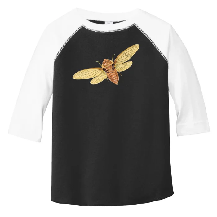 Cicada Insect 2024 Toddler Fine Jersey T-Shirt