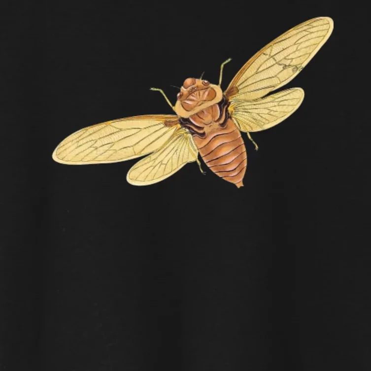 Cicada Insect 2024 Women's Crop Top Tee